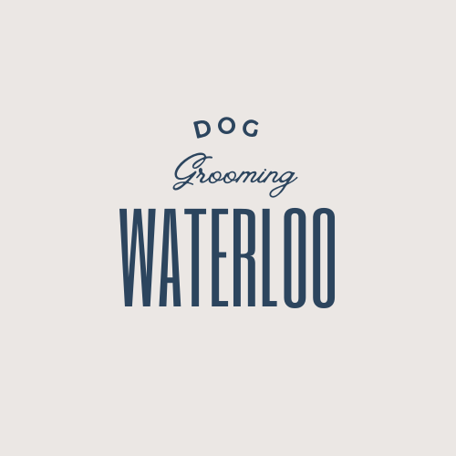 Waterloo Dog Grooming business image in Waterloo, ON